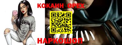 крисы Можга