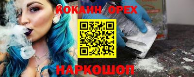 крисы Можга