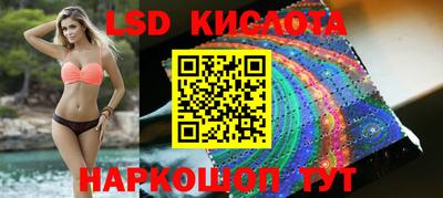 крисы Можга