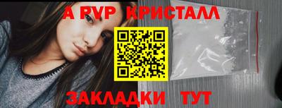 крисы Можга