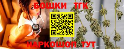 крисы Можга