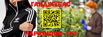 крисы Можга