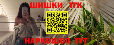 крисы Можга