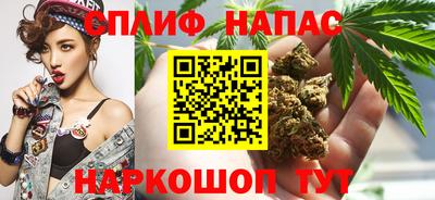 крисы Можга