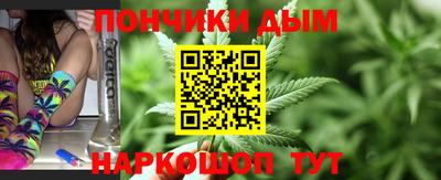крисы Можга