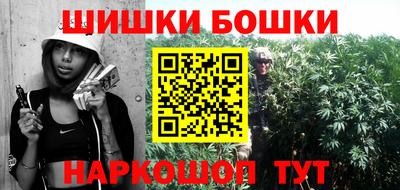крисы Можга