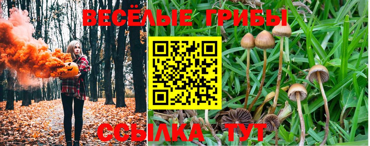 Галлюциногенные грибы прущие грибы Сызрань