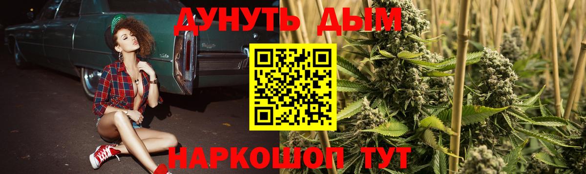 Бошки марихуана сатива  Вход с VPN  Сызрань  Марихуана планчик 